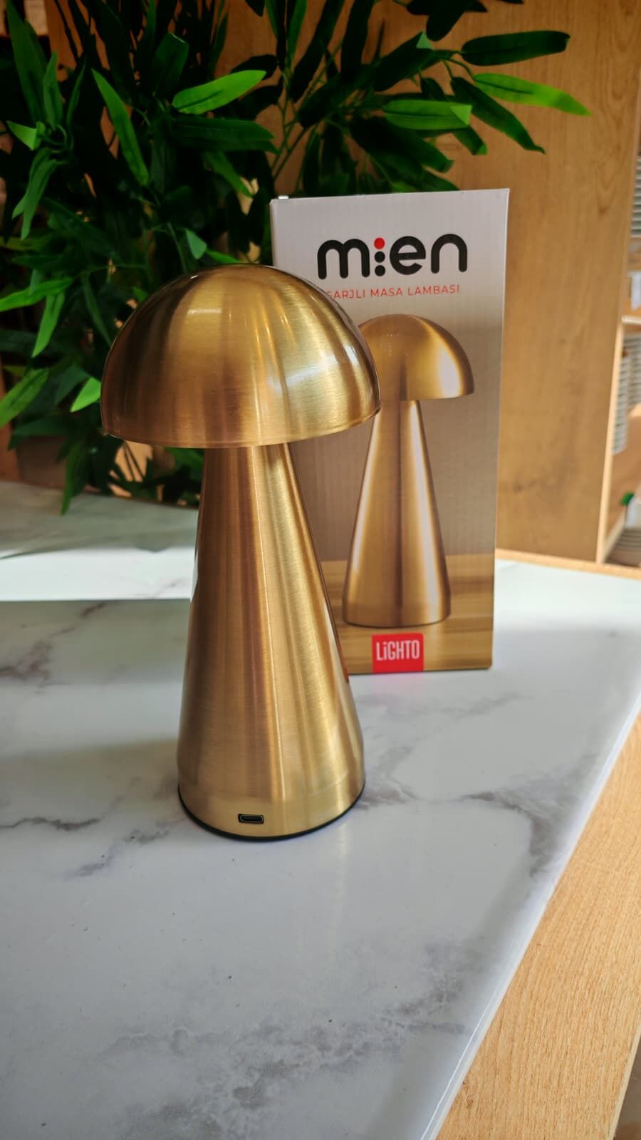 MASA ÜSTÜ LED