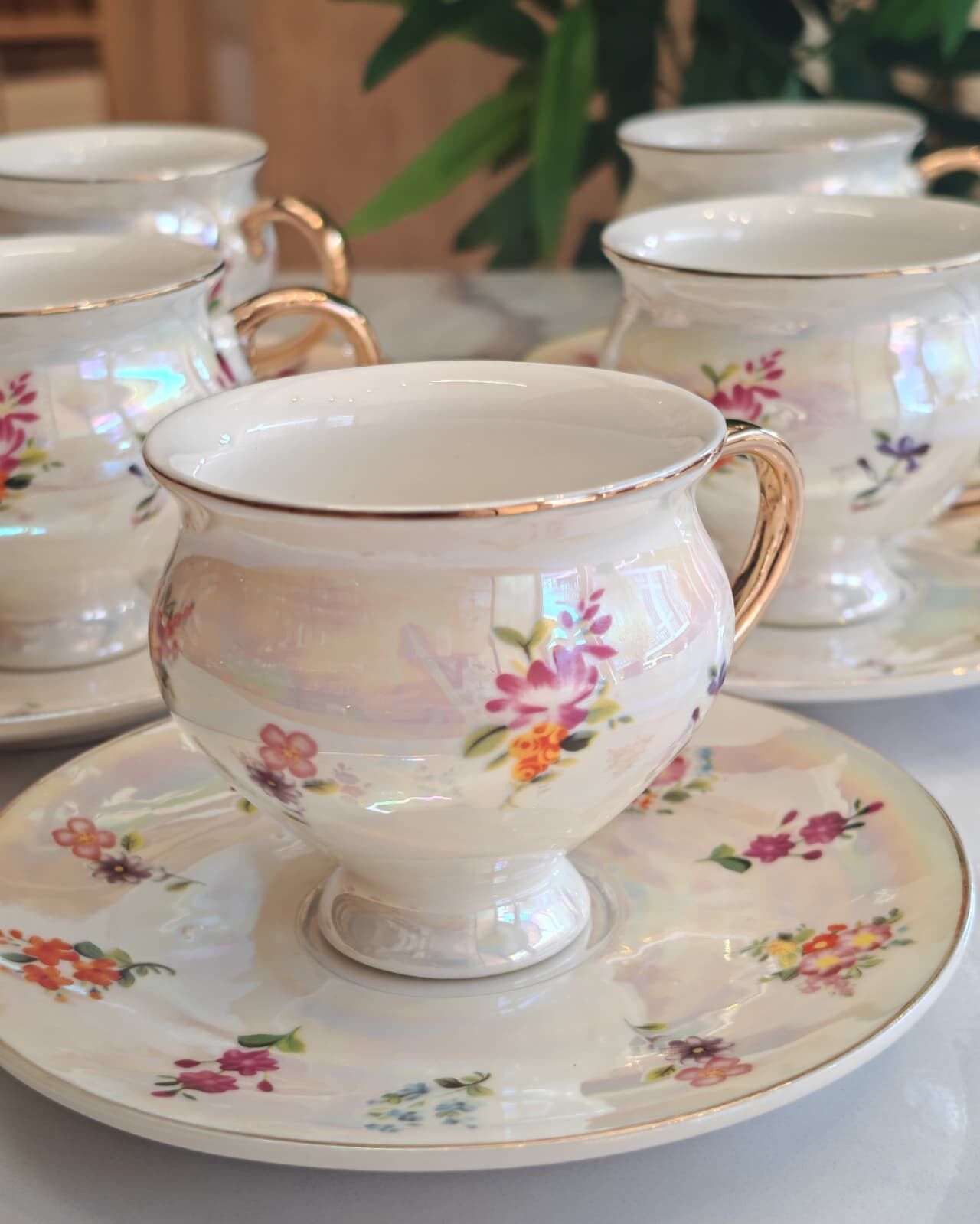 MİEN 6 LI LÜSTER FİNCAN TAKIMI