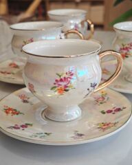 MİEN 6 LI LÜSTER FİNCAN TAKIMI