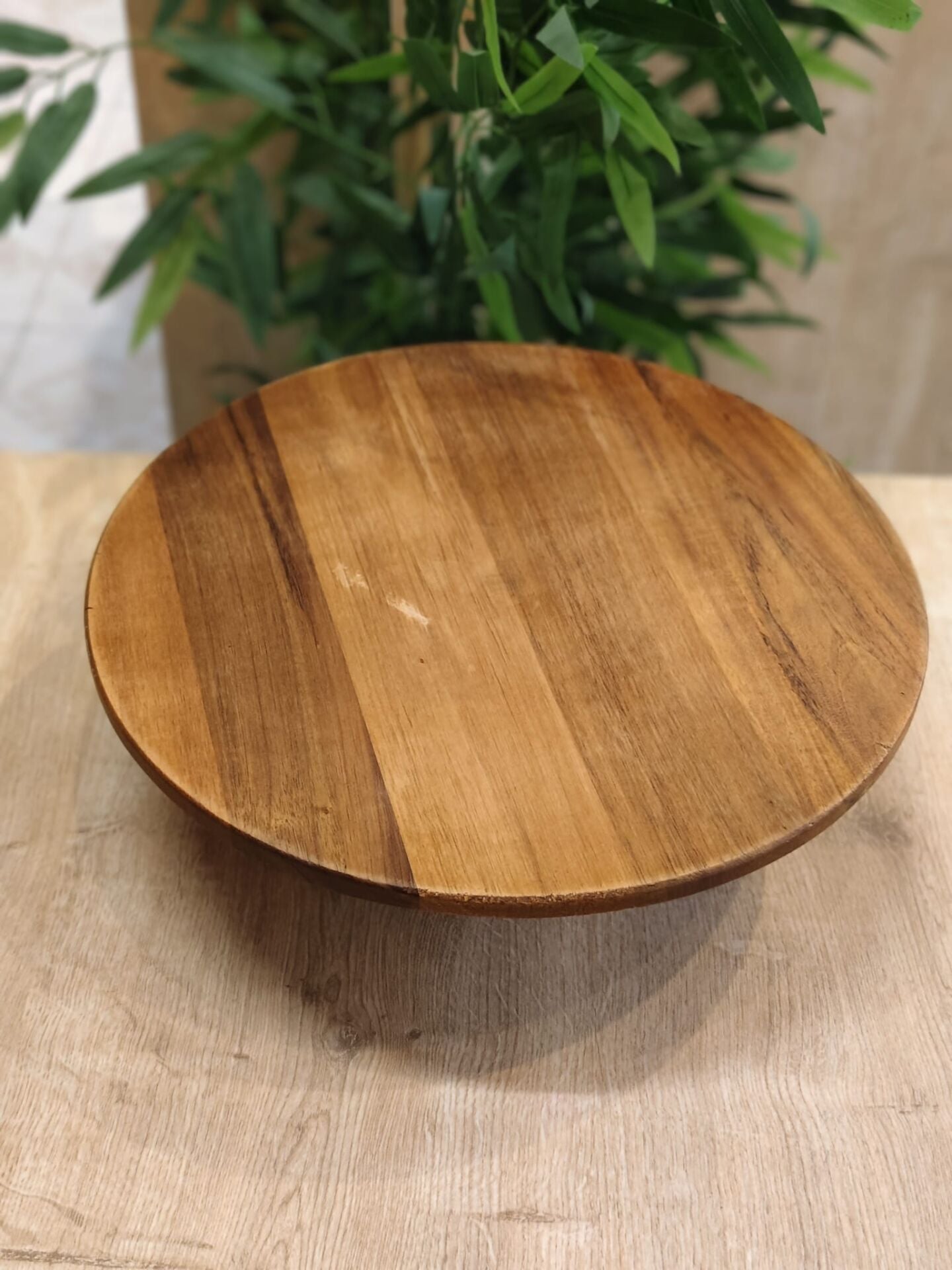 MİEN KINEA AKASYA SUNUMLUK 31 CM